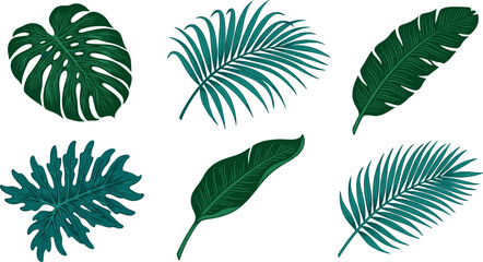 Tropical Jungle Foliage Vector Set Featuring Green Monstera, Areca Palm Frond, Ripe Banana Leaf, and Exotic Philodendron Icons © EdGe Creative