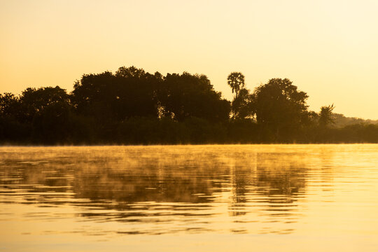 mist, fog, and palm trees at sunrise on the Zambezi River, Zambia, Africa