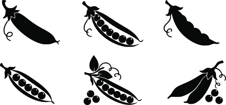 Black silhouette icons of fresh green pea pods and peas on a vine isolated on white background