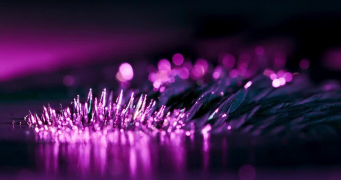 Delve into the mesmerizing realm of minuscule metal particles as they engage with a magnet, creating a stunning display of vibrant purple hues set against a striking and bold black background