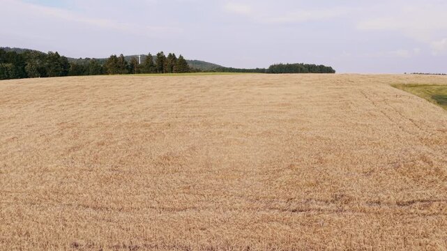 Getreidefeld in h&uuml;geliger Landschaft, Drohne up