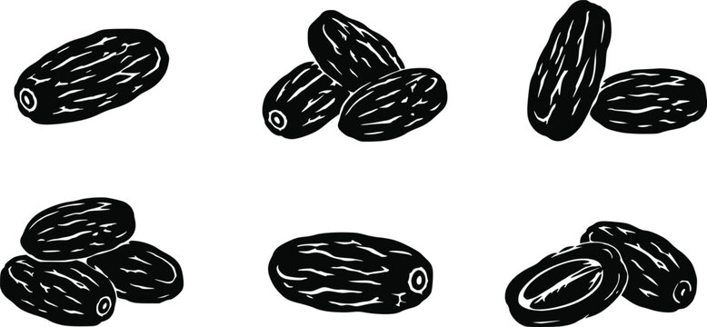 Set of hand drawn sketch date fruits isolated on white isolated on white background, Vector