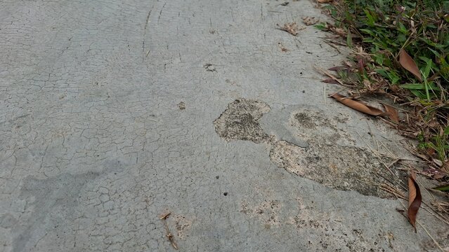 Concrete pavement with patch of green grass