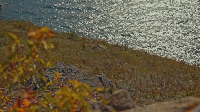 View of the sea and the coastline. Half of the frame is the sea, half is the shore.