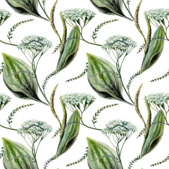 Plantain and yarrow mix seamless pattern watercolor illustration. Botanical herbs blend for organic wound healing pharmacy branding, antiinflammatory remedy packaging, medical skincare wellness print © AnKa