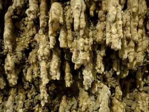 Denso raggruppamento di stalattiti calcari o concrezioni idrauliche accumulate nel tempo. All'interno di antichi condotti ipogei e serbatoi romani