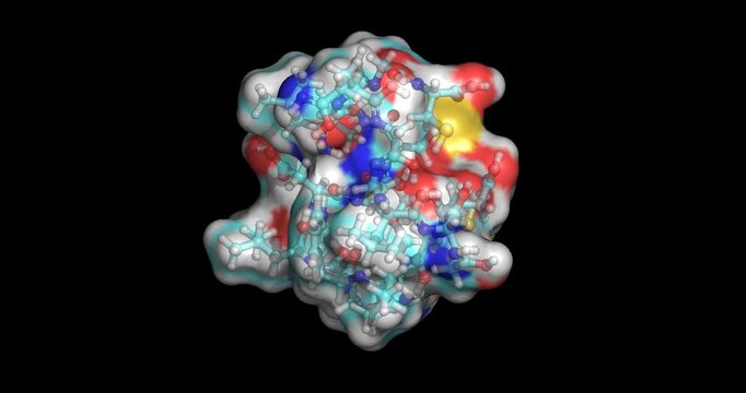 Leptin, adipose-derived peptide hormone regulating fullness and satiety, 3D molecule 4K spinning