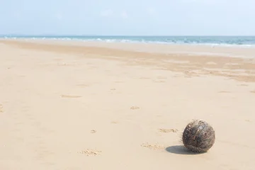 Washed Ashore Coconut Shell on Long Sand Beach © Anna Babii