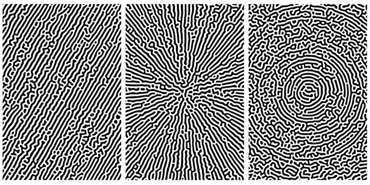 Abstract seamless Turing pattern background collection. Repeating Turing texture set.