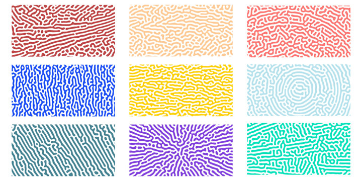 Abstract seamless Turing pattern background collection. Repeating Turing texture set.