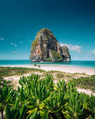 Lush Green Foliage on a Tropical Beach with a Limestone Karst in Krabi © artrachen