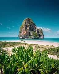 Lush Green Foliage on a Tropical Beach with a Limestone Karst in Krabi © artrachen