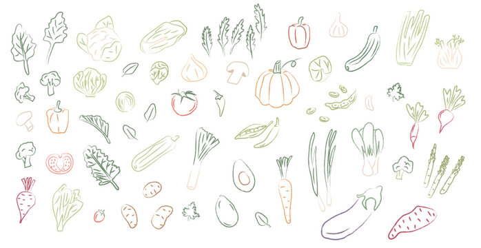 Hand drawn vegetable doodle set in pastel crayon style. Collection of leafy greens, roots, and garden produce icons for healthy cooking, farmers market branding, and kitchen decor. Vector illustration