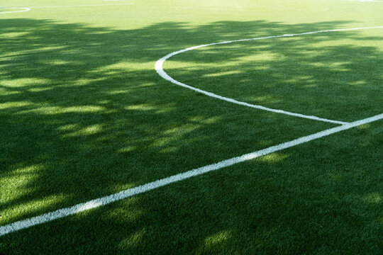 tree shadow on white circle line on artificial green grass of football of soccer sport field background	