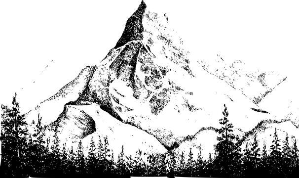 A striking black and white of the iconic matterhorn mountain peak with pine tree forest