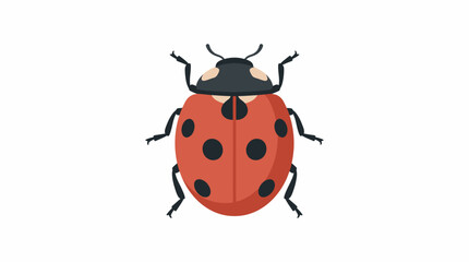 A colorful illustration of a ladybug with distinctive red spots is shown. © Waskim