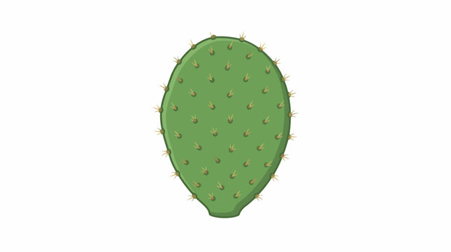 Close-up view of a green prickly pear cactus in a desert landscape with spines and areoles
