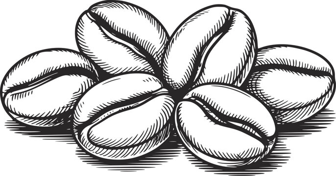 白の背景に描かれた、ローストされたコーヒー豆の小さな山の詳細な白黒手描きイラスト