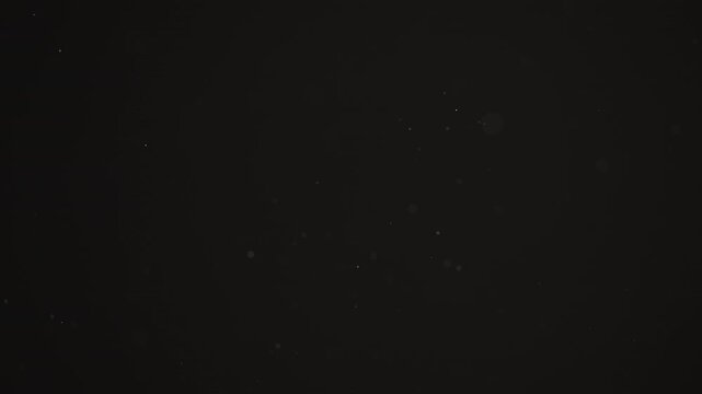 Floating dust particles over dark background with shallow focus