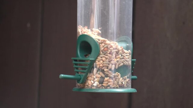 Bird seed pouring into a clear plastic bird feeder in slow motion close up, showing sunflower kernels and mixed grains filling the tube outdoors in daylight.