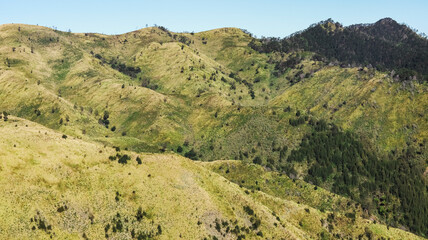 Fototapeta premium Panoramic view of rolling green hills and mountain slopes under a clear blue sky, featuring a landscape of grassy ridges and patches of forest in a natural mountainous terrain.