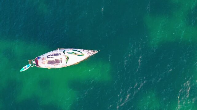 Luxury speedboat cruising over clear ocean waters with fish swimming beneath the surface in summer sea waves nautical travel adventure lifestyle