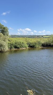 The Towy River at Capel Dewi, Carmarthenshire, Wales, U.K.