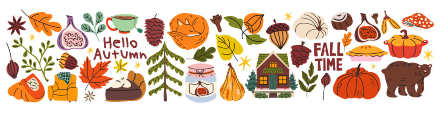 Large collection of cozy autumn vector elements in cartoon style. Fall leaves, mushrooms, pumpkins, acorns, forest animals, warm tea, house and hand drawn seasonal objects
