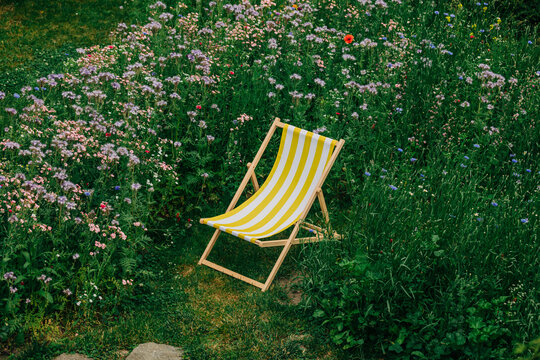 An empty deckchair stands in a lush summer wildflower garden