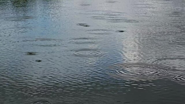 In slow motion, raindrops create rippling circles across a calm pond before the rain gradually stops, leaving the reflective water surface to settle and smooth out. Serene weather transition shot