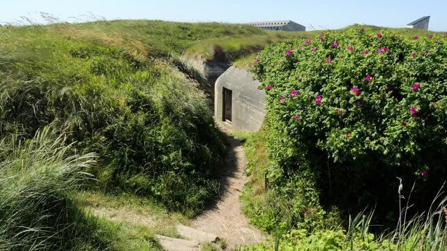 Abandoned world war ii bunker in grassy hills