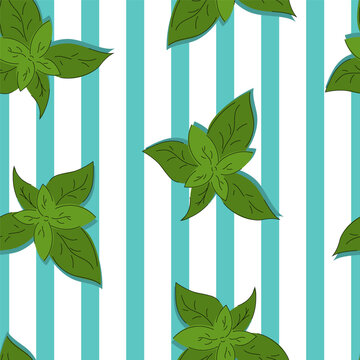 Seamless pattern with basil in white and blue stripes