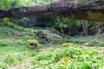 Fototapeta premium Looking under a large horizontal rock formation towards a mossy forest clearing with lush green plants.