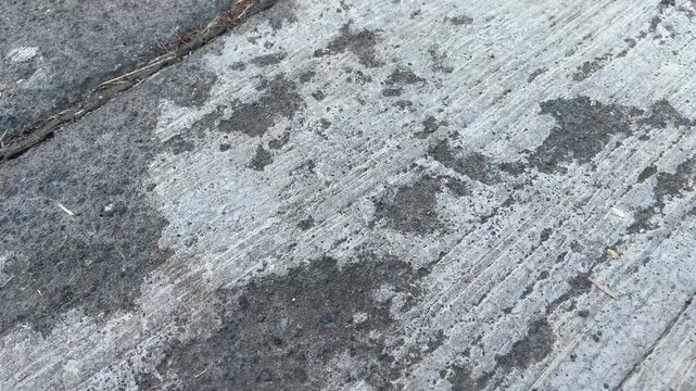 Weathered concrete surface texture with dark lichen and moss