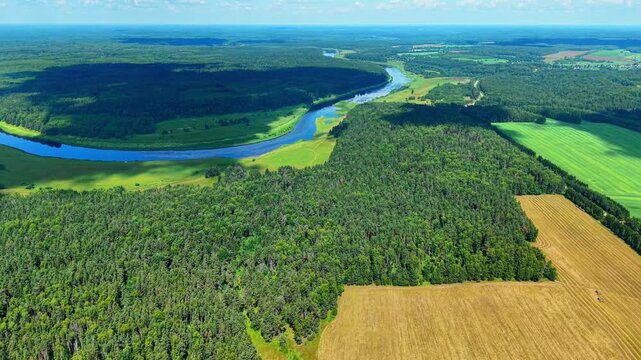 Aerial view of lush green forests and winding river under clear blue sky during summer season