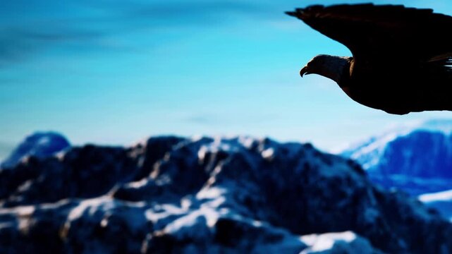 A large bird is flying above rugged mountains covered in snow. The bright blue sky serves as a backdrop to the scene. The time is during the day, with clear visibility of the landscape.
