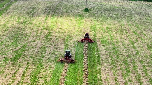 Two tractors operating in parallel creating fresh hay rows in a lush green field
