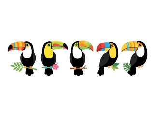 Fototapeta premium A collection of five colorful toucan birds perched on tropical branches.