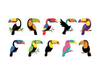 Fototapeta premium A collection of ten colorful toucan bird illustrations in various poses and vibrant color schemes.