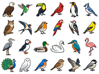 Fototapeta premium A collection of various colorful bird species illustrated in a cartoon style.