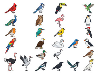 Fototapeta premium A collection of various colorful bird species illustrated in a cartoon style.