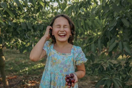 Laughing girl holding fresh cherry harvest in summer orchard