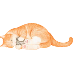cat © b.illustrations