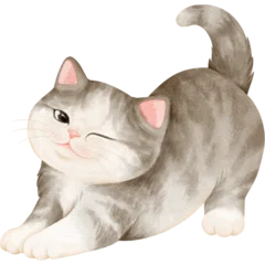 kitten © b.illustrations