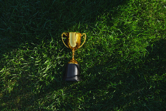 A golden trophy cup on the grass field. A concept for growth in business and sports.