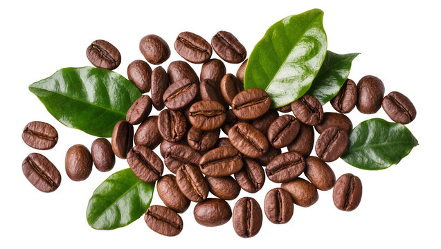 Roasted coffee beans with green leaves