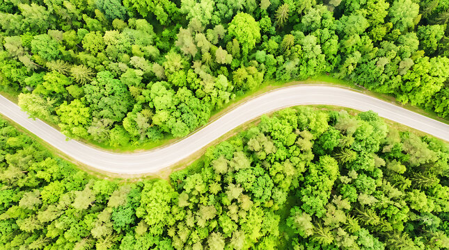 Aerial view of winding road through lush green forest captured from drone.