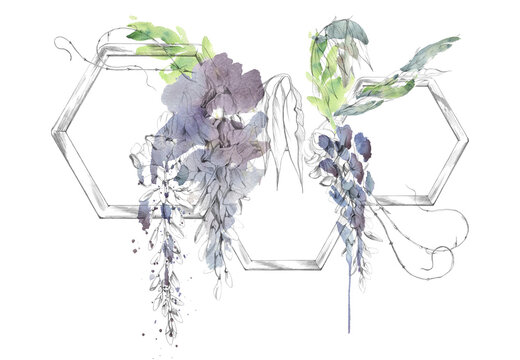 Wooden hexagonal frame, blooming wisteria lilac clusters, green foliage, sprouts and blossoms. Pencil and watercolor illustration. Product labels, event graphics, home decor, promotional materials.