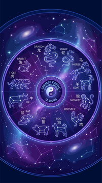 Chinese Zodiac Constellations Wheel with Twelve Animal Signs and Yin Yang Symbol, Flat Vector Illustration of Astrology Horoscope Chart on Deep Space Galaxy Background with Glowing Stars and Nebula