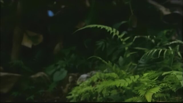 Vibrant blue butterfly flutters gracefully through lush green foliage